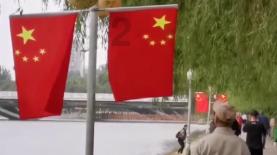 拯救卡通獾